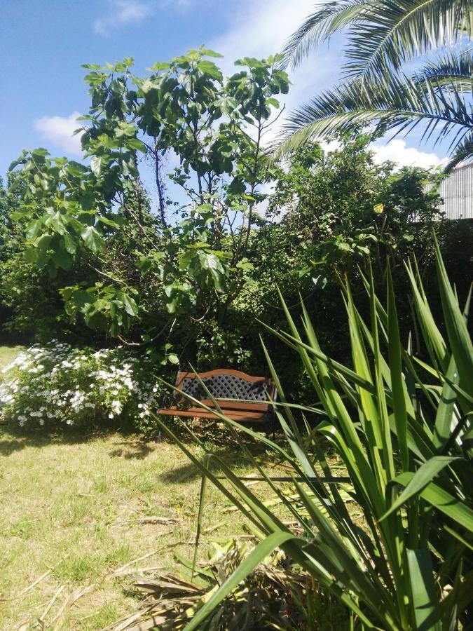 Pisos Vistalegre 2B Con Jardin Cerca Del Mar Lejlighed Sanxenxo Eksteriør billede
