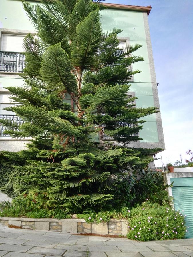 Pisos Vistalegre 2B Con Jardin Cerca Del Mar Lejlighed Sanxenxo Eksteriør billede
