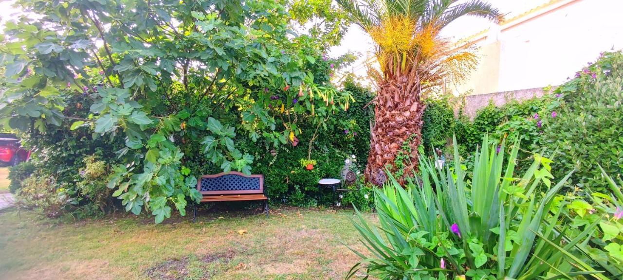 Pisos Vistalegre 2B Con Jardin Cerca Del Mar Lejlighed Sanxenxo Eksteriør billede